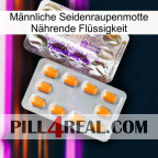 Männliche Seidenraupenmotte Nährende Flüssigkeit new12